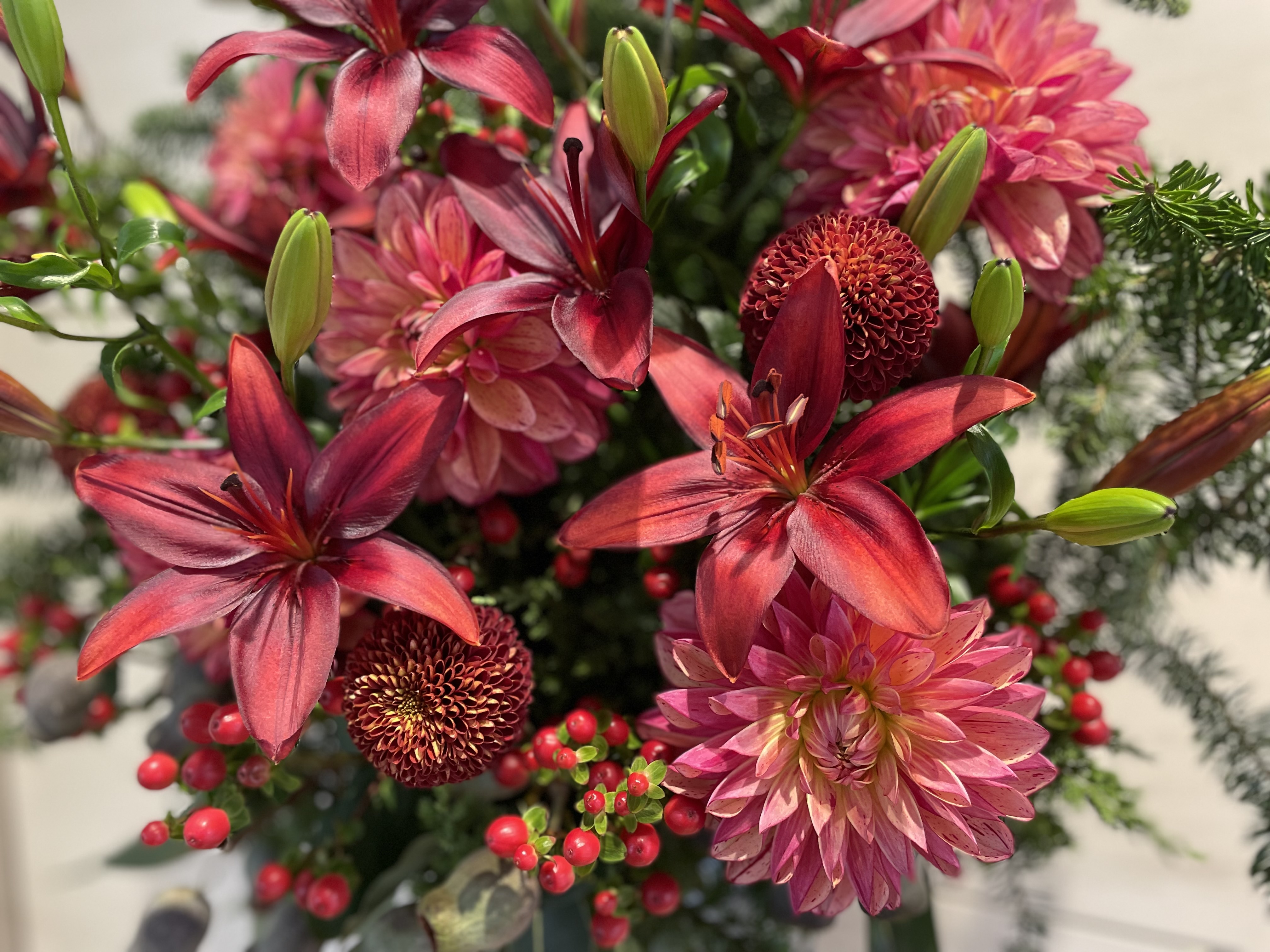 今週のお花💐✨