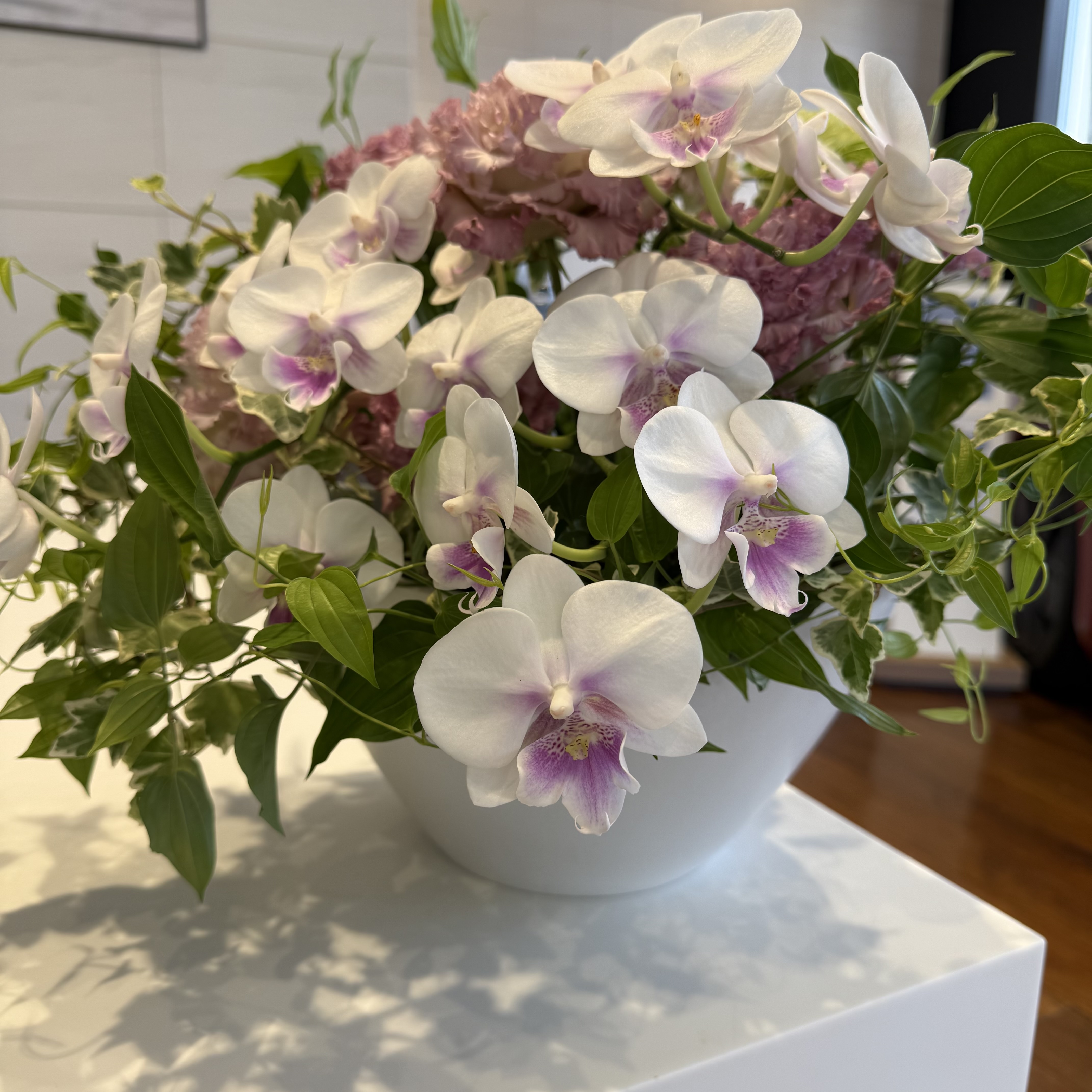 ショールームのお花紹介🌼