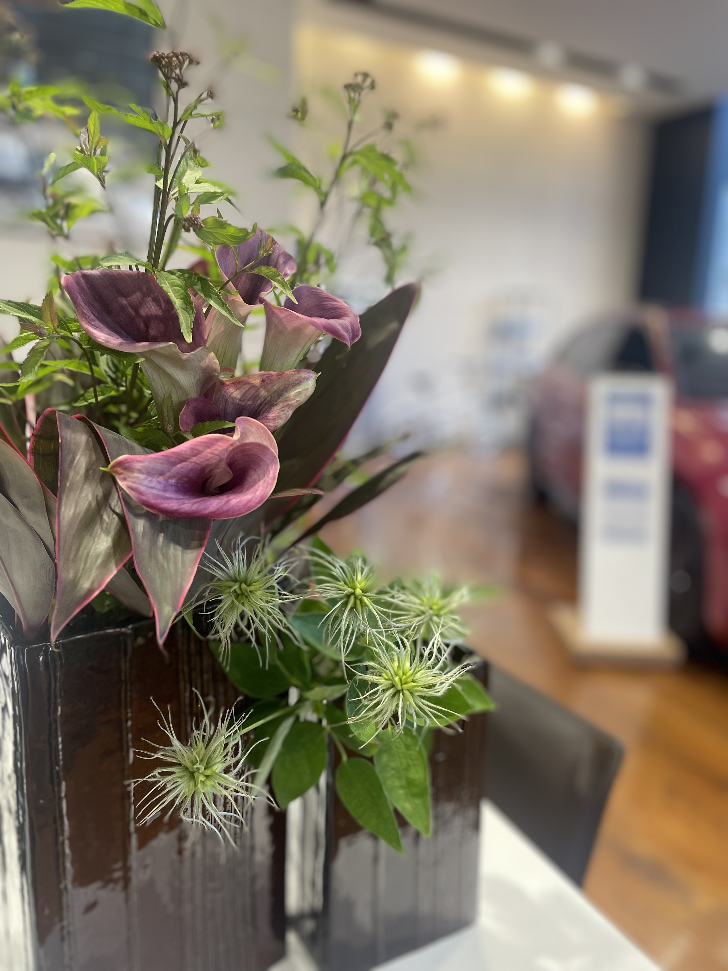 今週のショールームのお花紹介