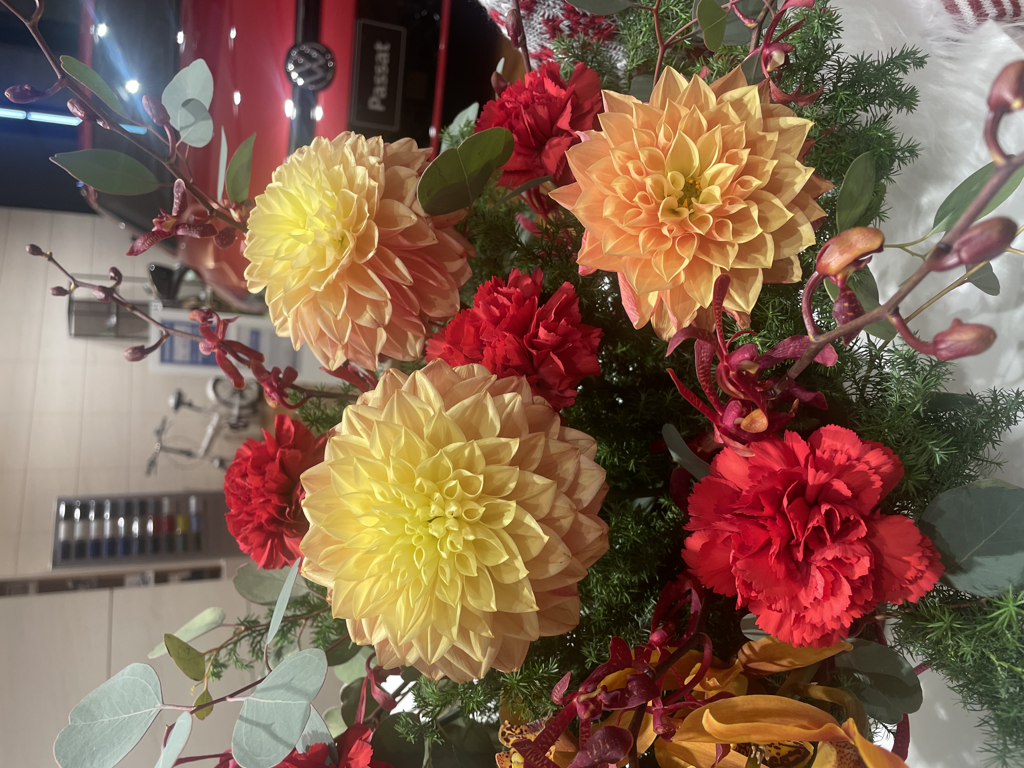 ショールームのお花紹介🎄