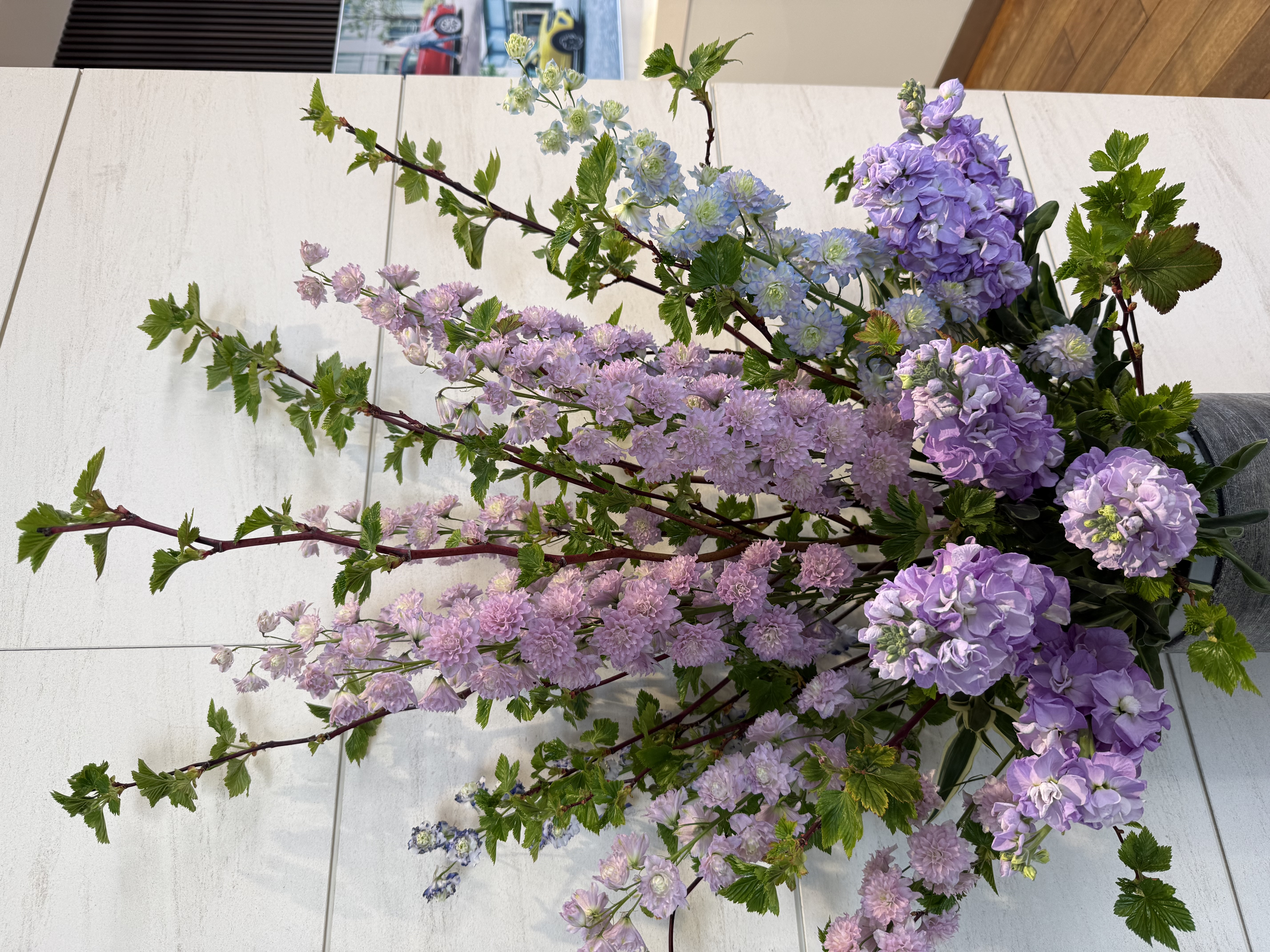 ショールームのお花紹介🌷